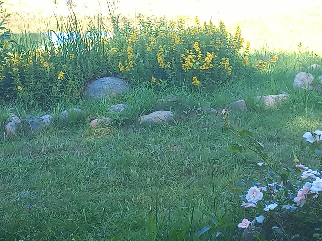 Гостиница Колыба Тверь-236