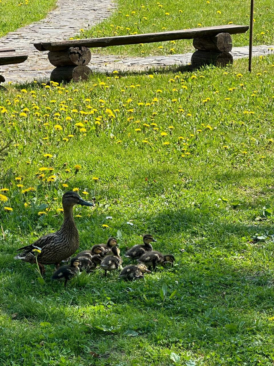 Гостиница Колыба Тверь-28