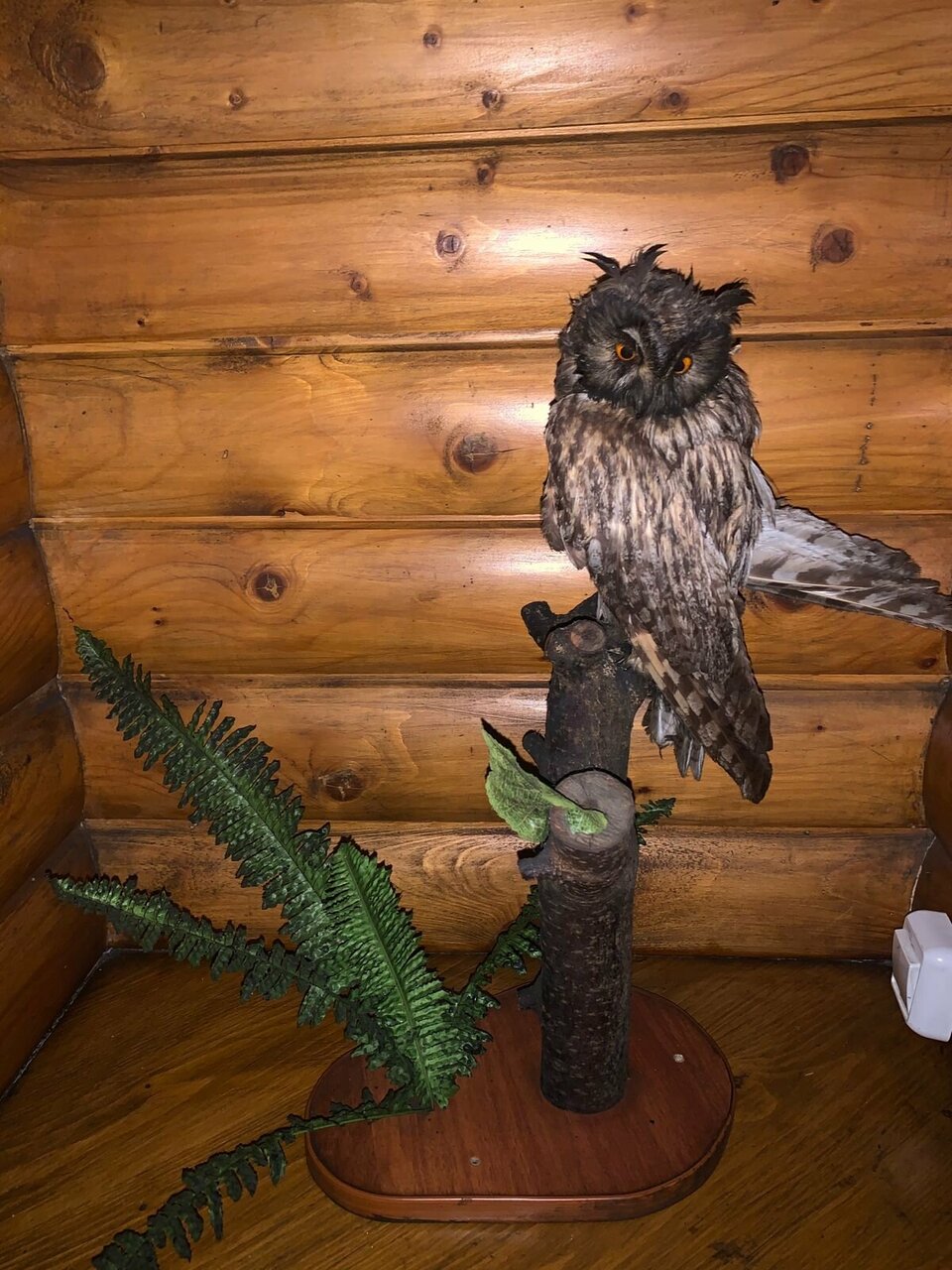 Гостиница Колыба Тверь-203