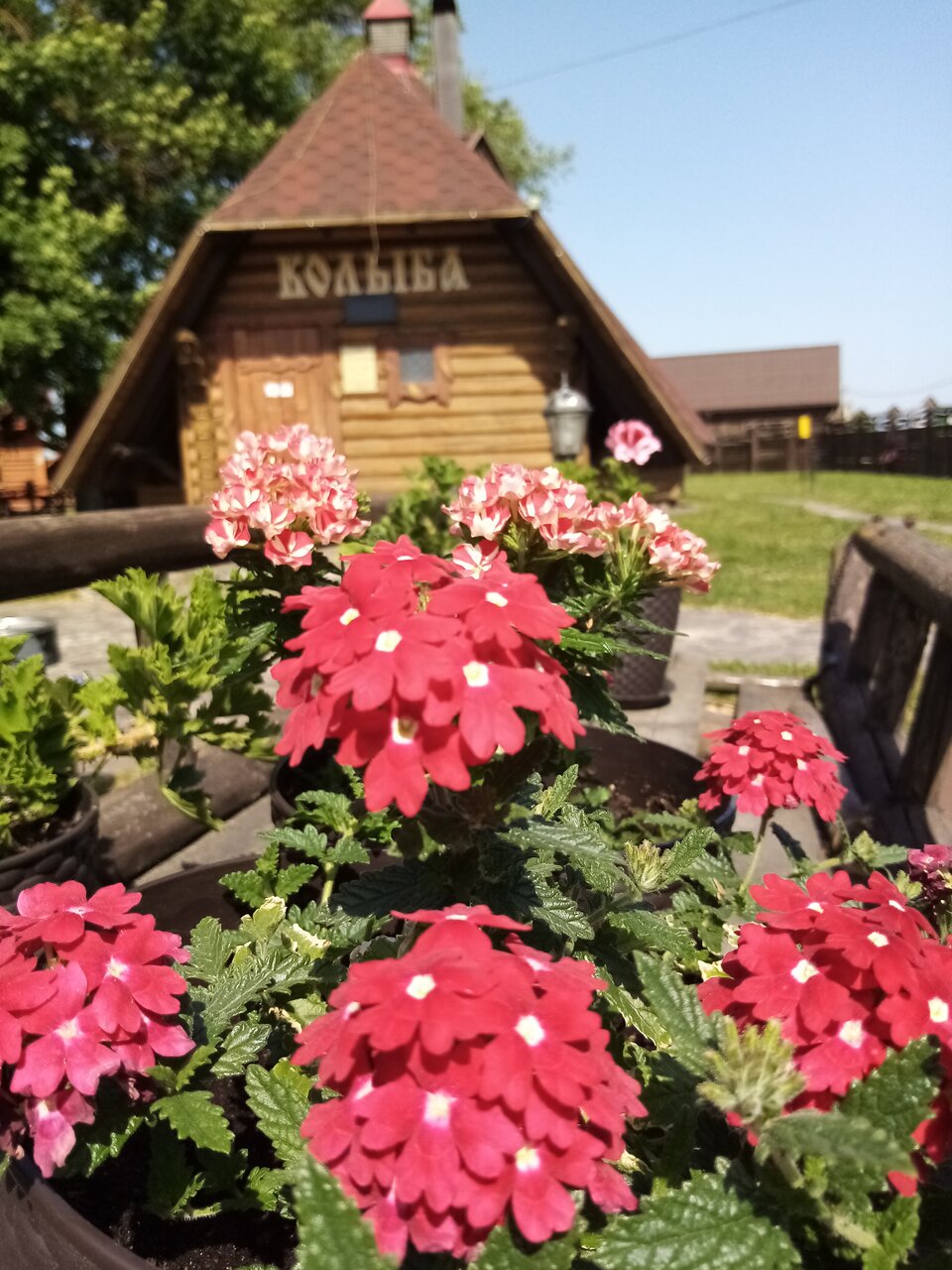 Гостиница Колыба Тверь-211