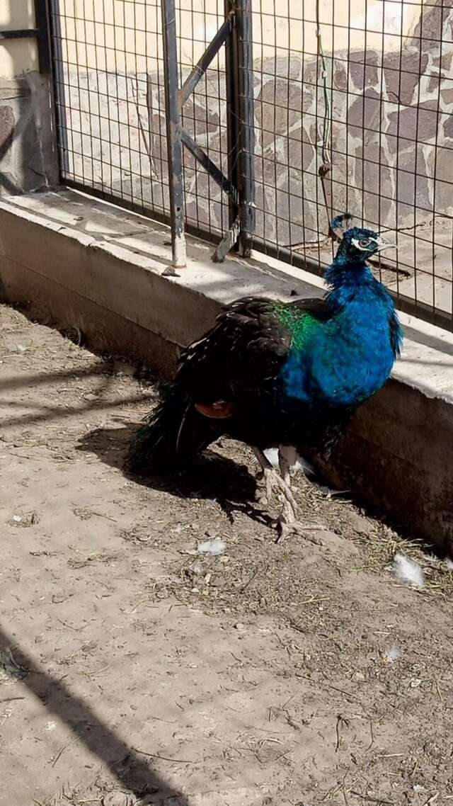 Гостиница Колыба Тверь-79