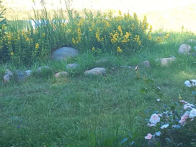 Гостиница Колыба Тверь-235