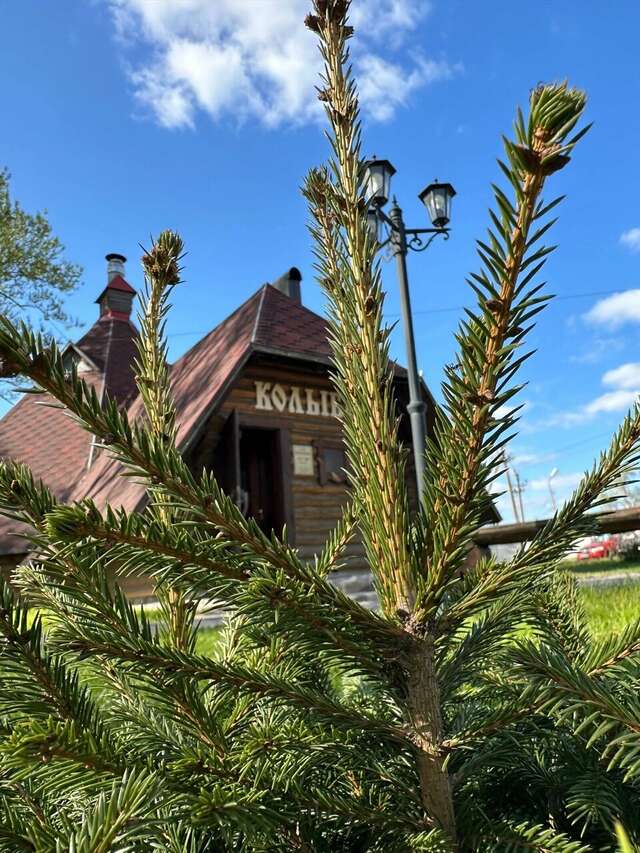 Гостиница Колыба Тверь-31