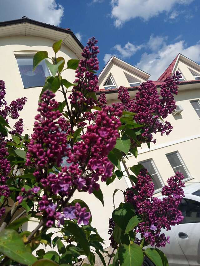 Гостиница Колыба Тверь-34