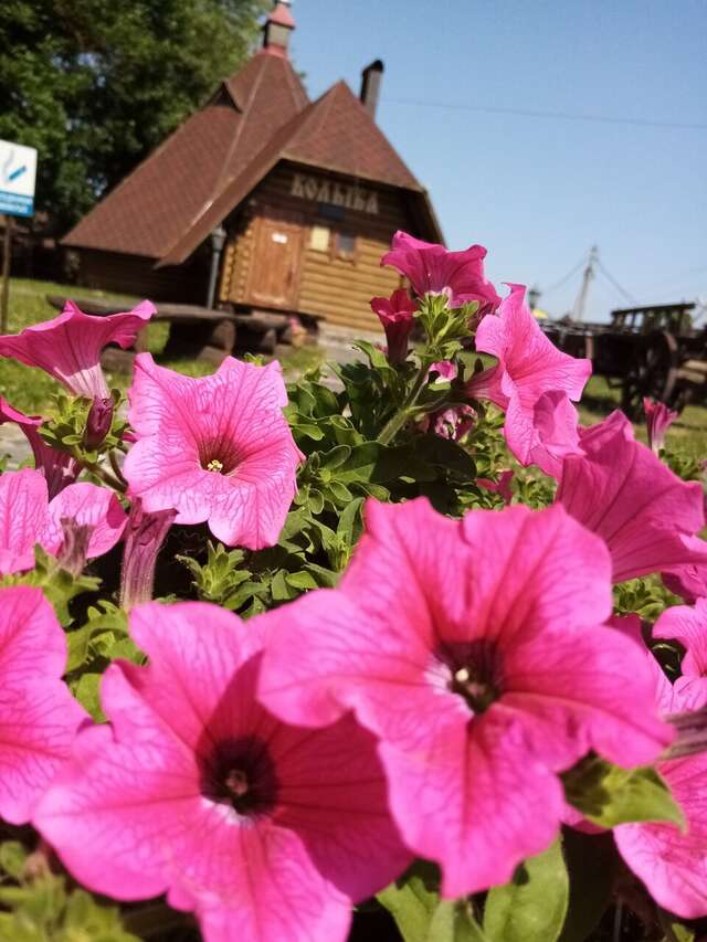 Гостиница Колыба Тверь-198